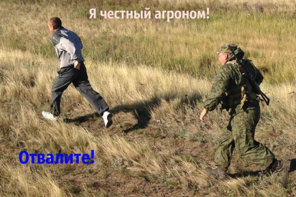 Кракен сайт ссылка