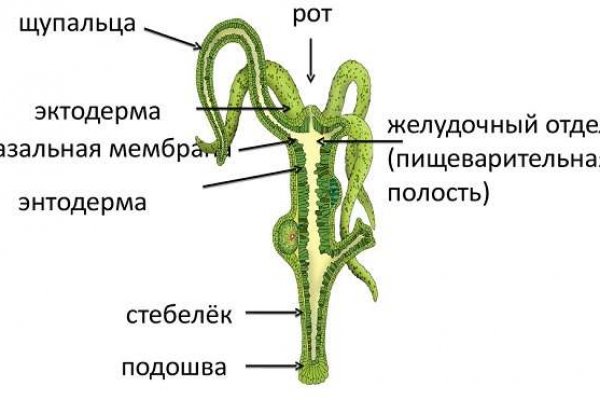 Кракен сайт 17at